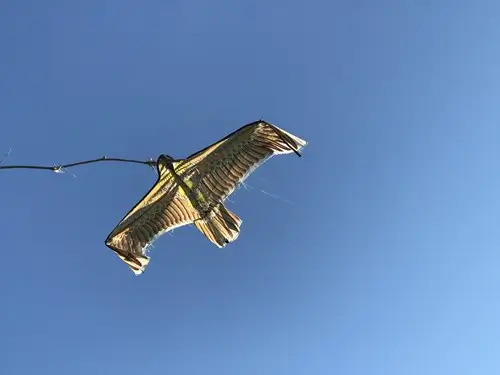 Decoy bird kite against a blue sky