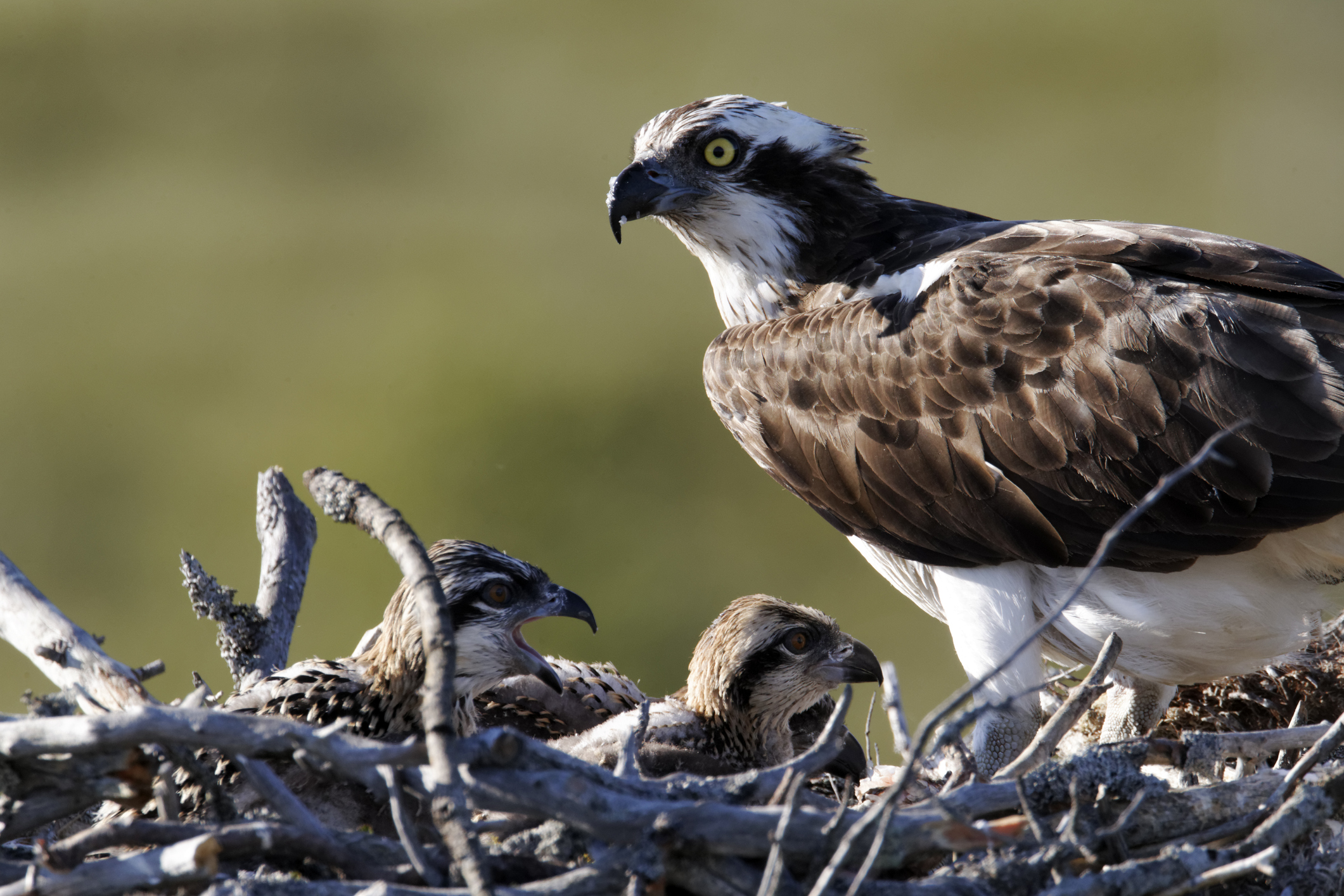 wildlife photography locations