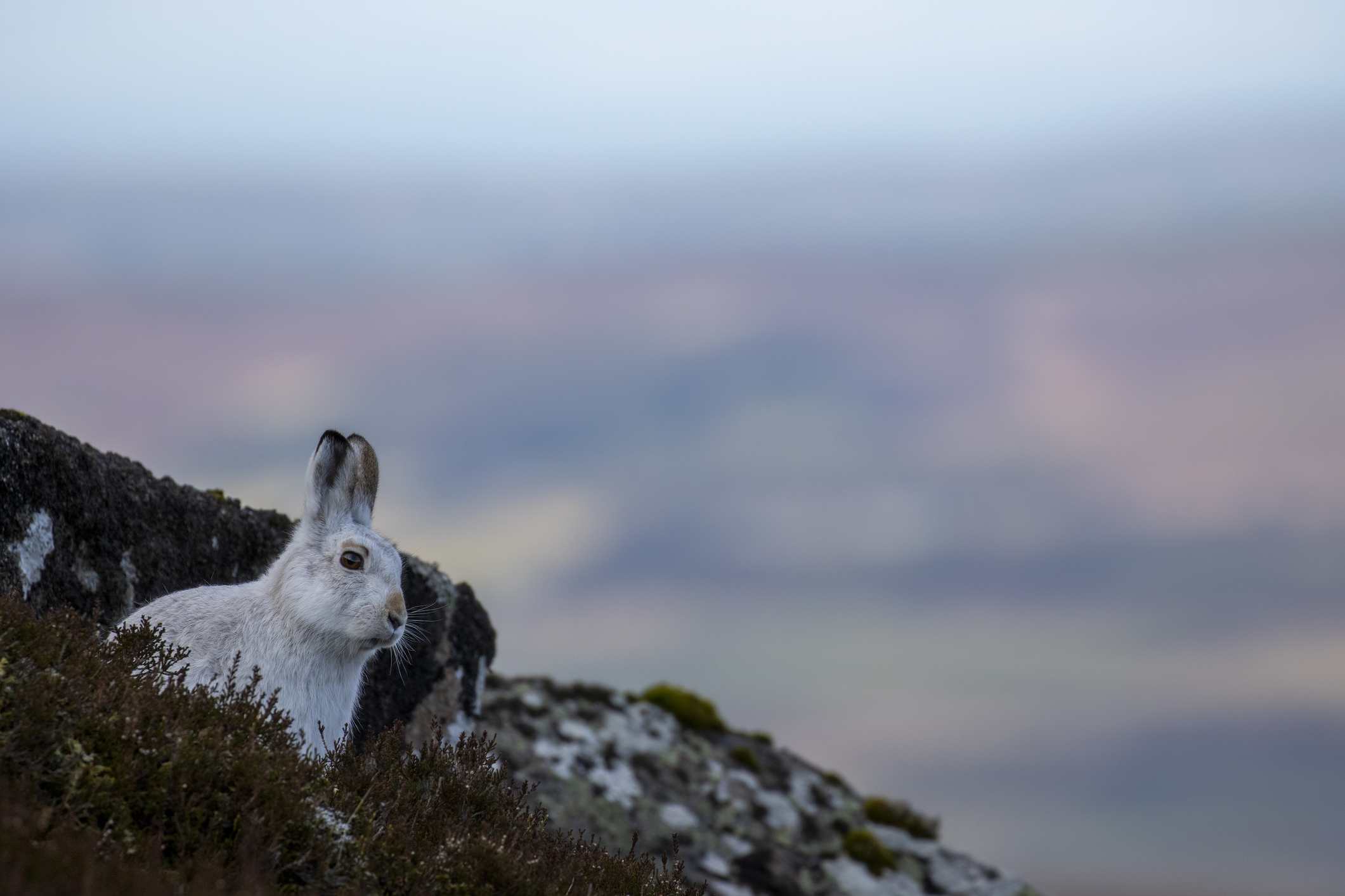 wildlife photography locations