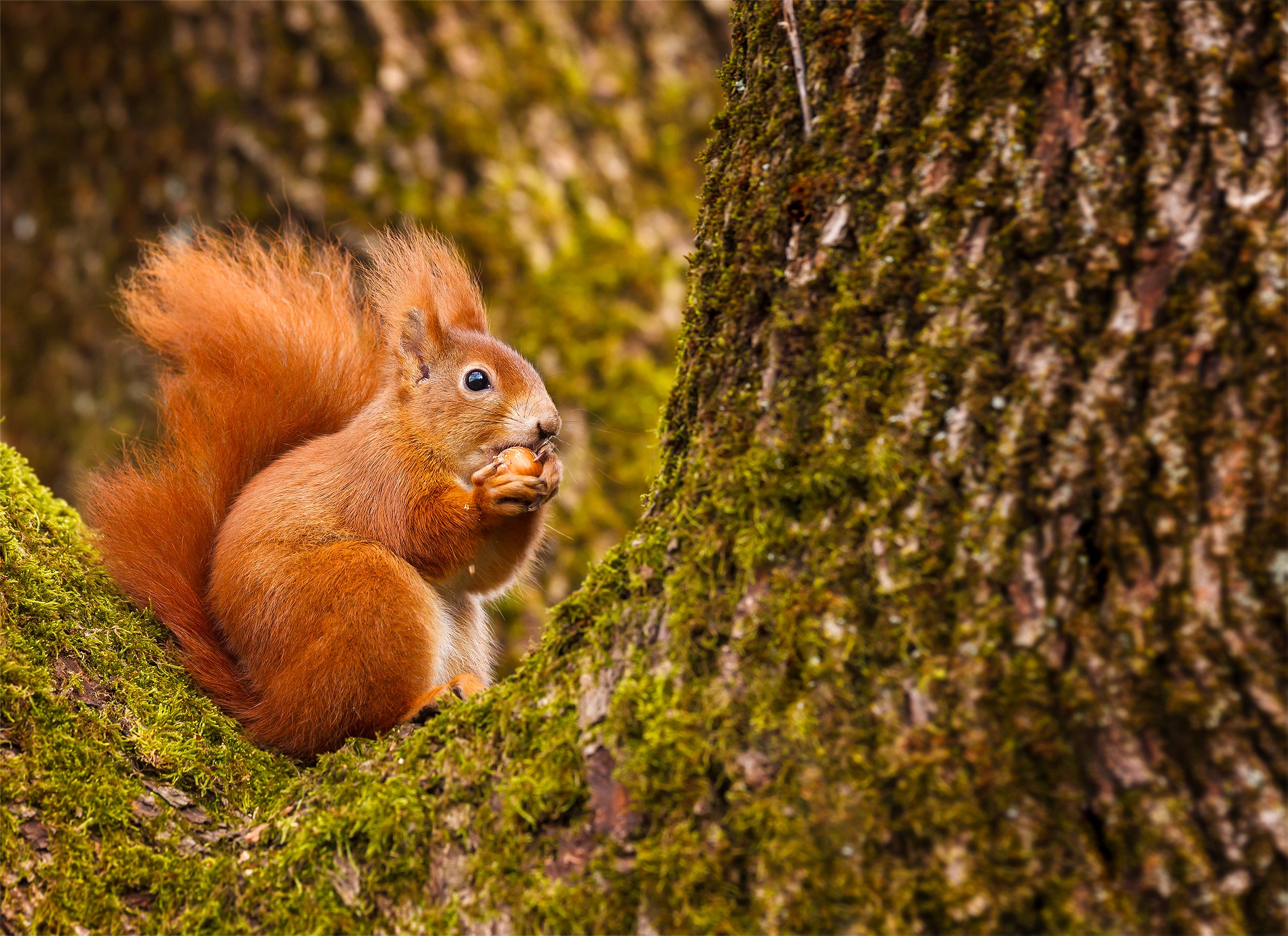 wildlife photography locations