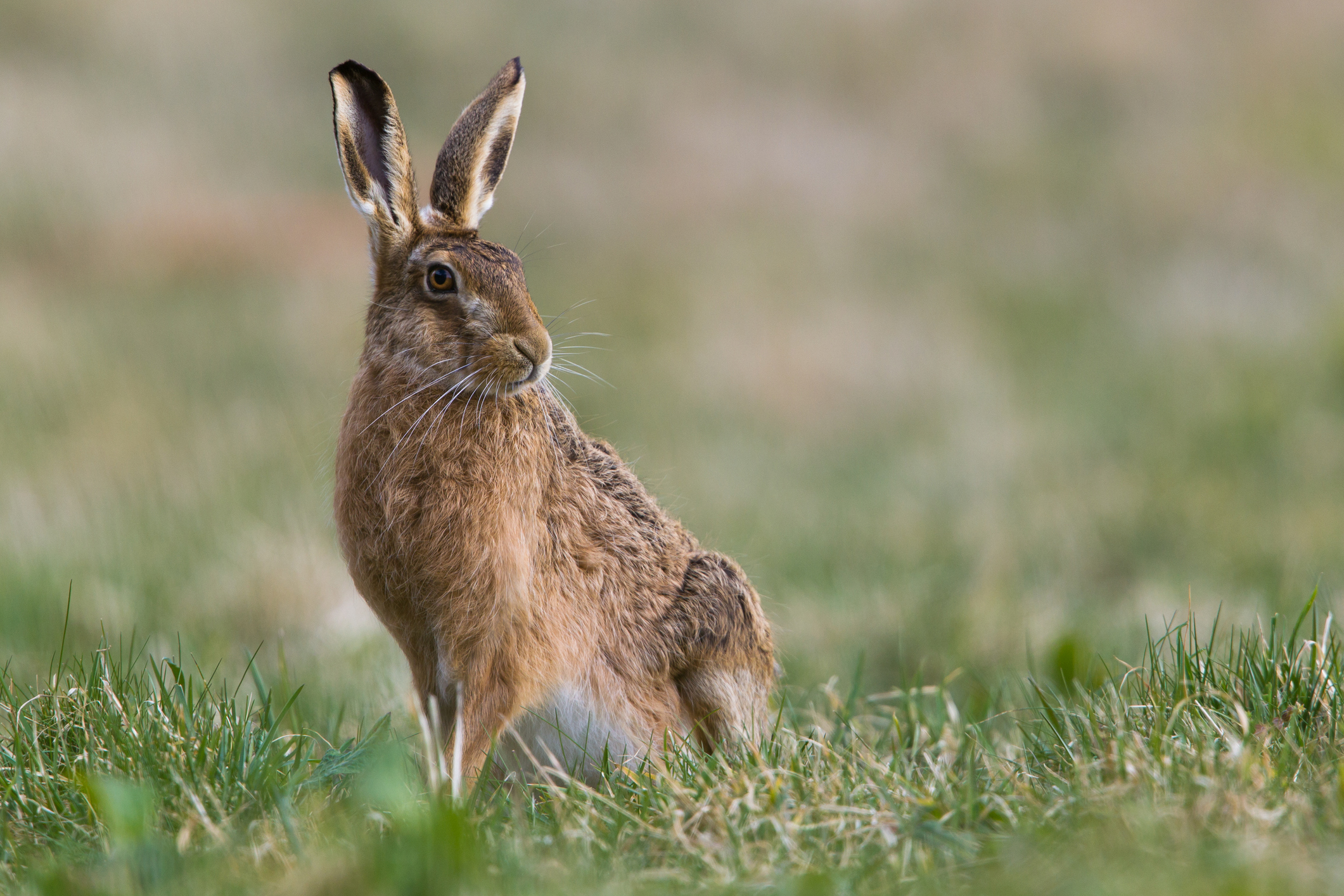 wildlife photography locations