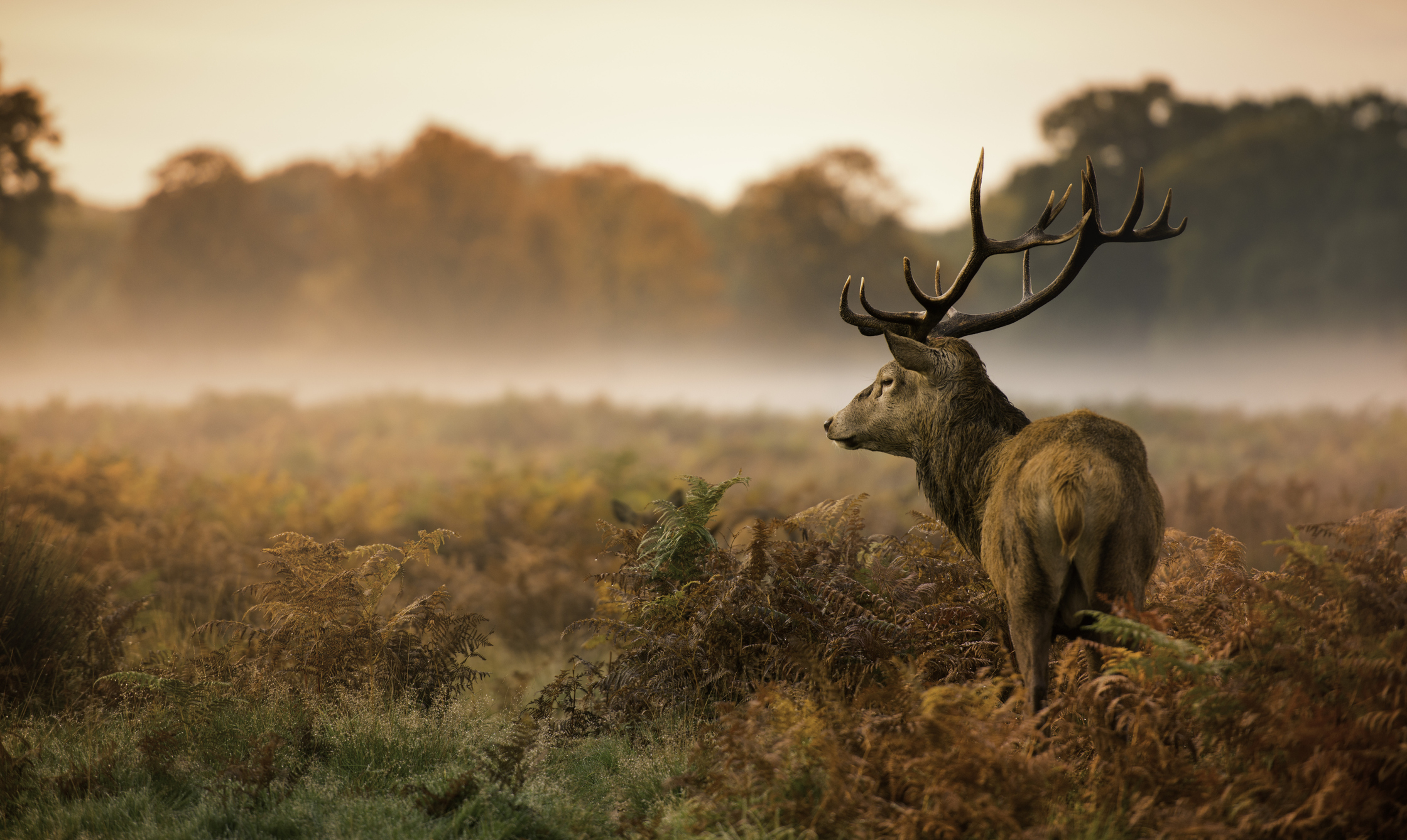 the-top-10-wildlife-photography-locations-in-the-uk-the-edit