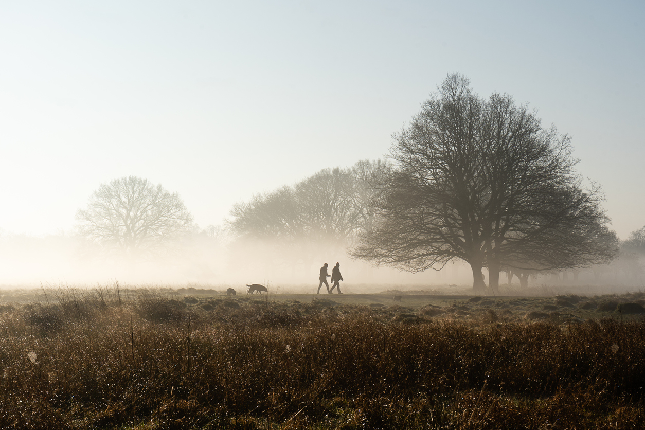 winter photography