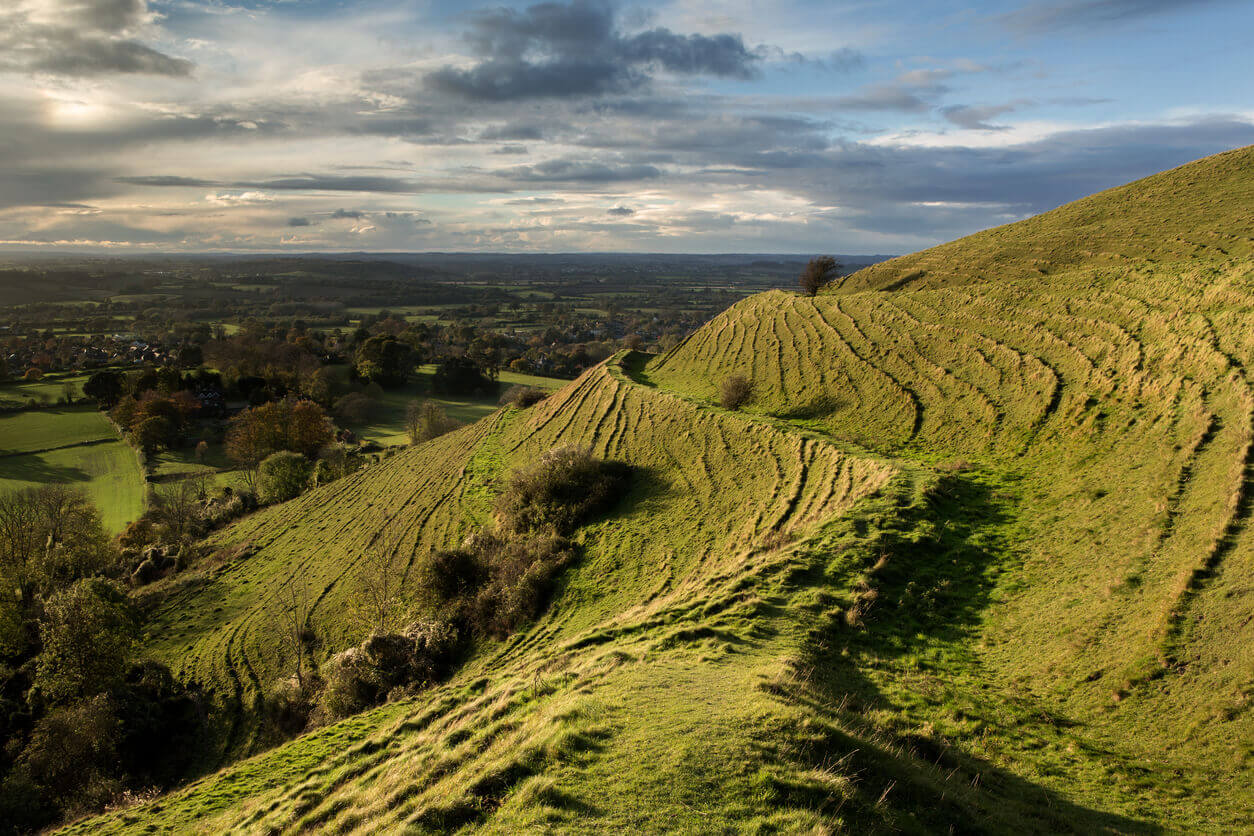 image of hambledon hill