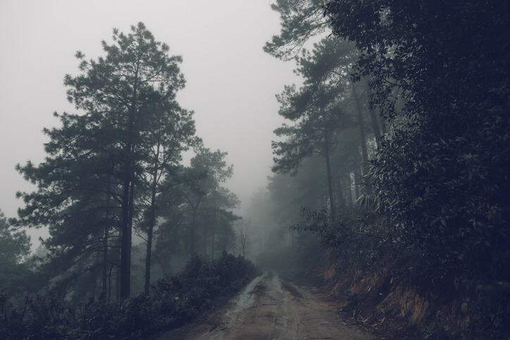 guide to photography in fog