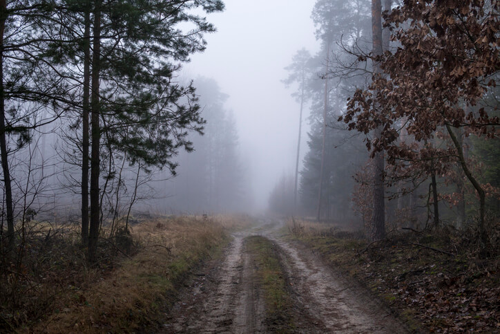 guide to fog photography