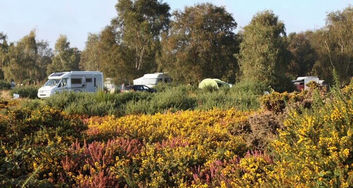 touring caravan site in norfolk, kelling heath