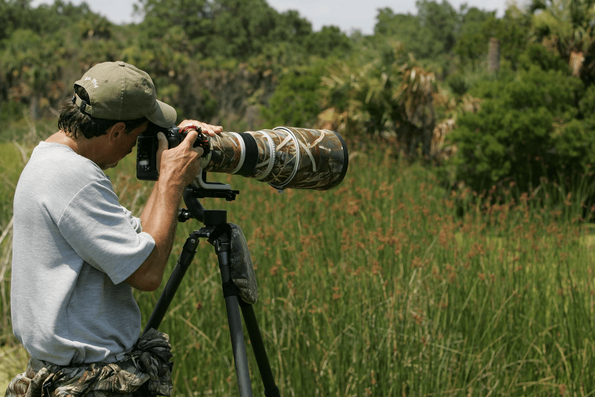 wildlife photography