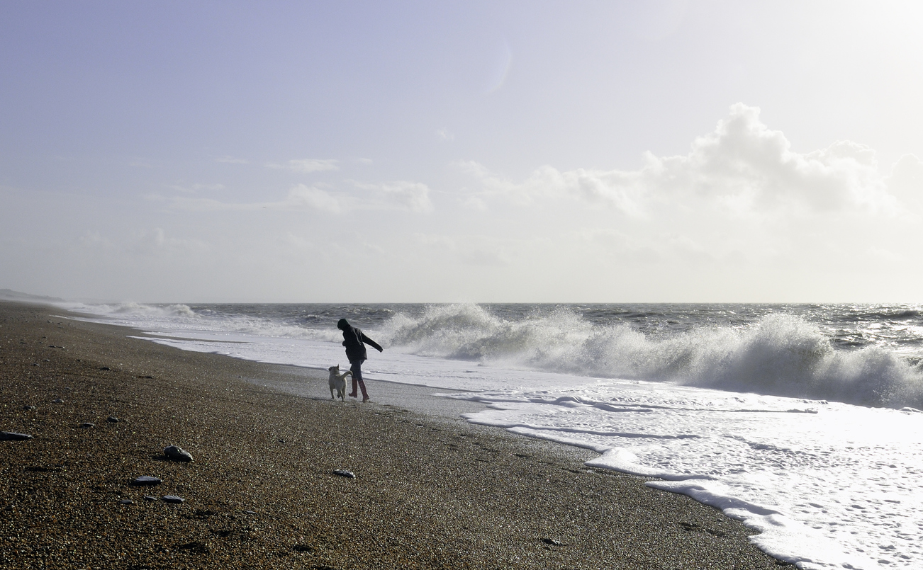 chesil beach dorset