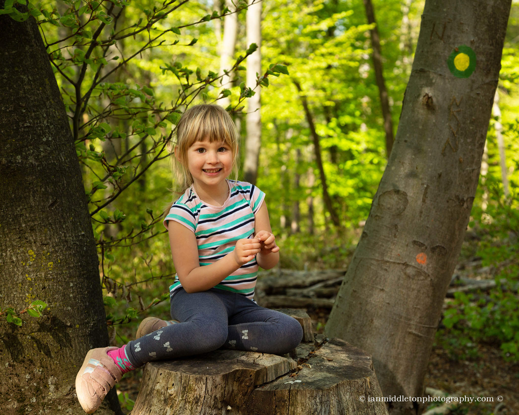 hard light vs soft light photography image