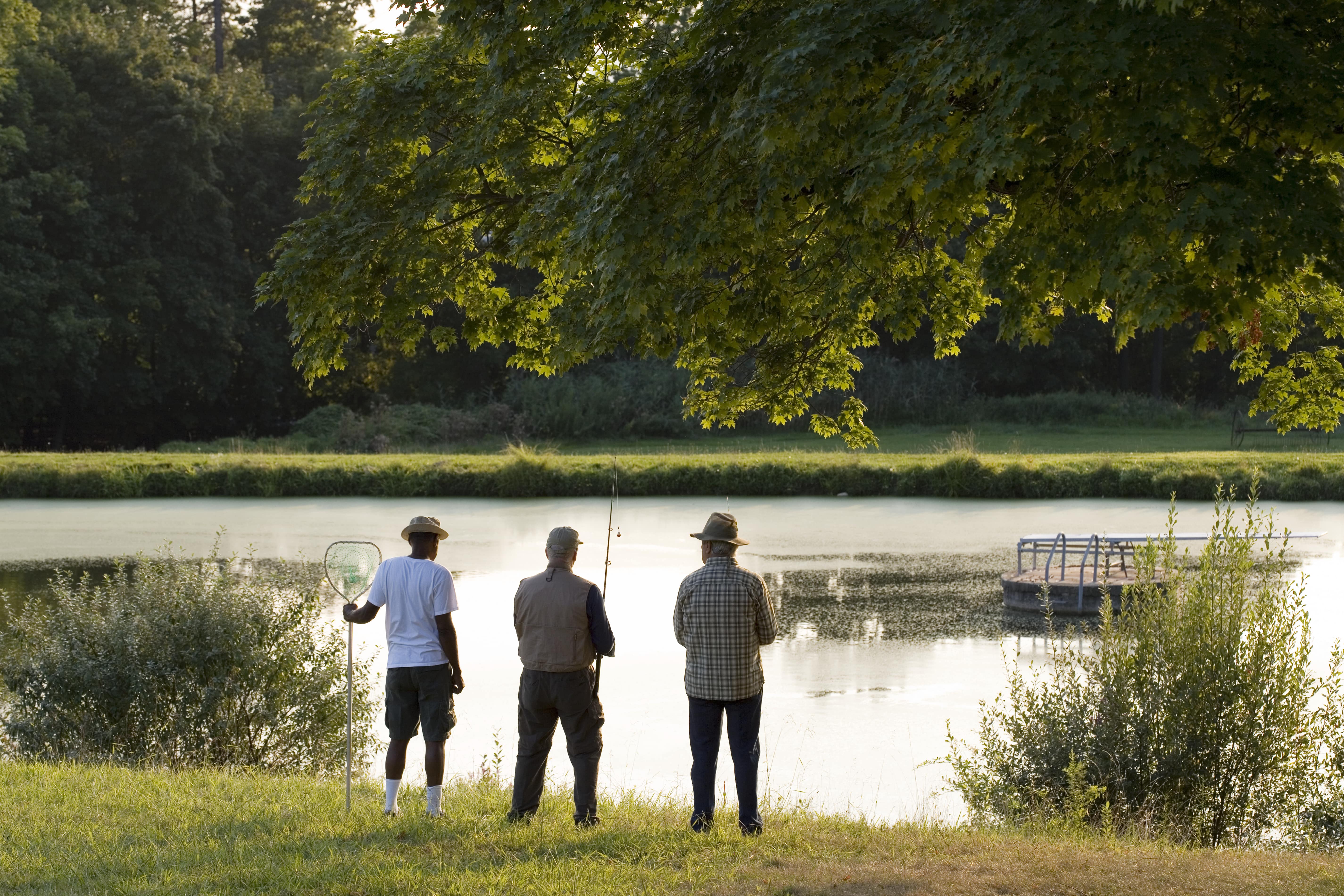 how to start a fishery