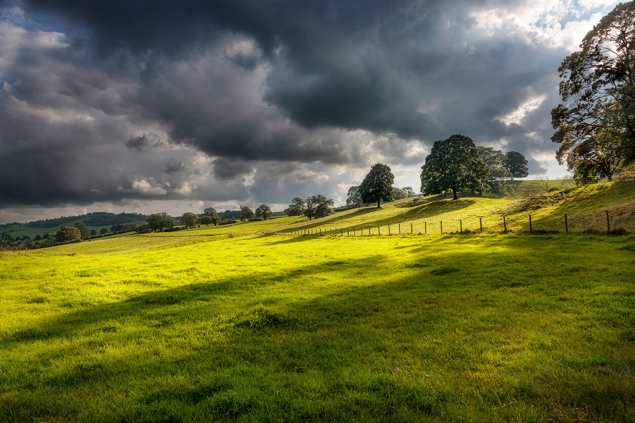 moody summer photography at tarn hows, uk