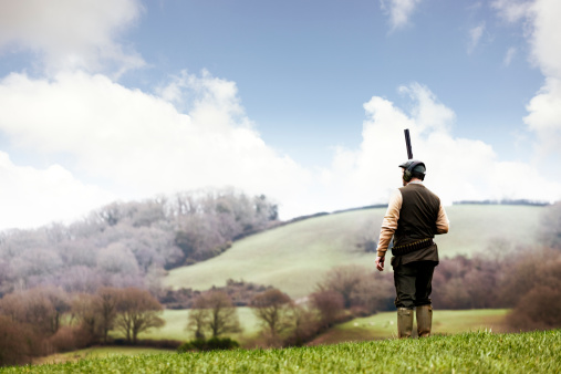 partridge shooting season