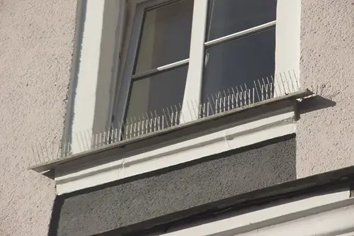 Anti bird spikes on a window ledge